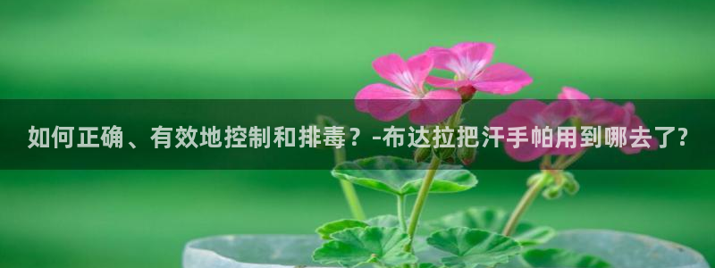 中欧体育网页版