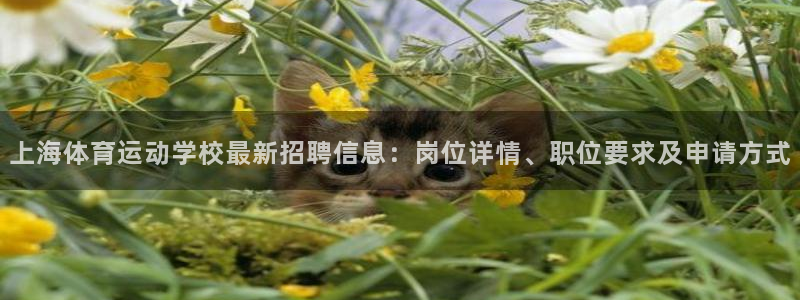 中欧体育zoty下载