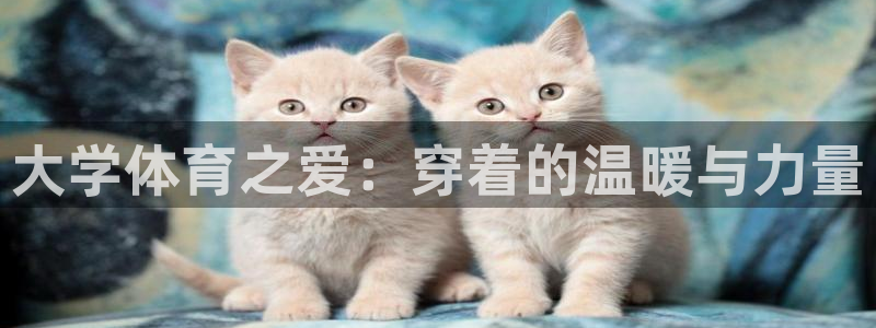 中欧体育官网入口