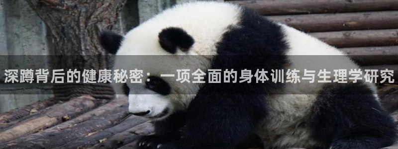 中欧体育网站