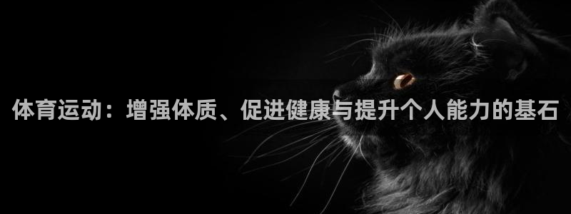 中欧体育网页版