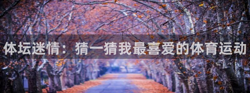 中欧体育
