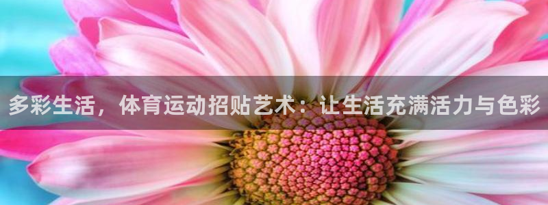 中欧体育客服