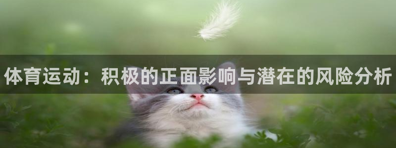 中欧体育平台