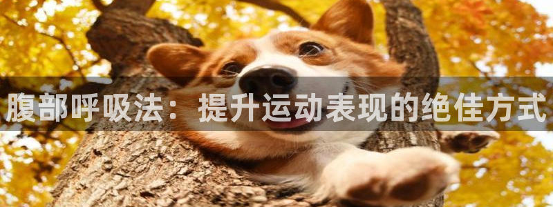 中欧体育官网入口