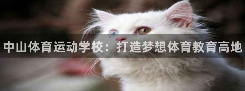 中欧体育网址