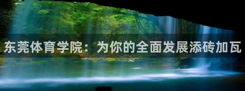 中欧体育网站