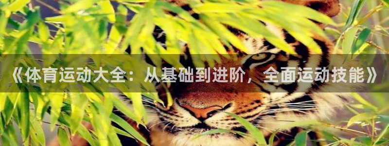 kok新版中欧体育