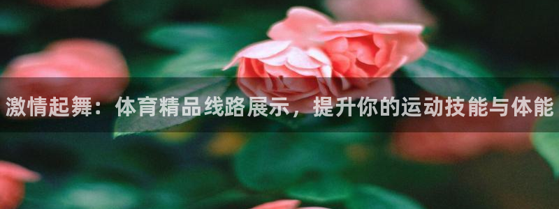 kok中欧体育登录