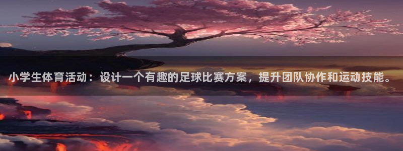 中欧体育网站