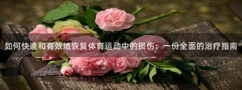 中欧体育kok