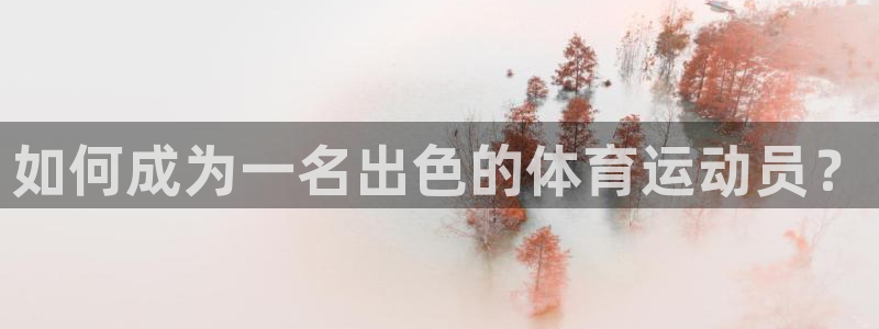 中欧体育网页版