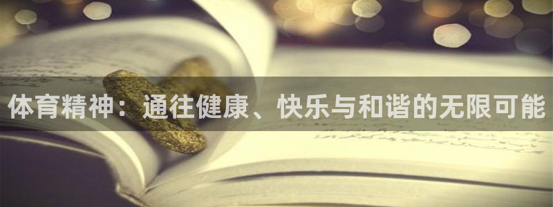 中欧体育集团