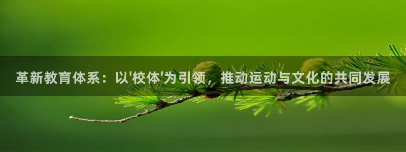 中欧体育最新地址